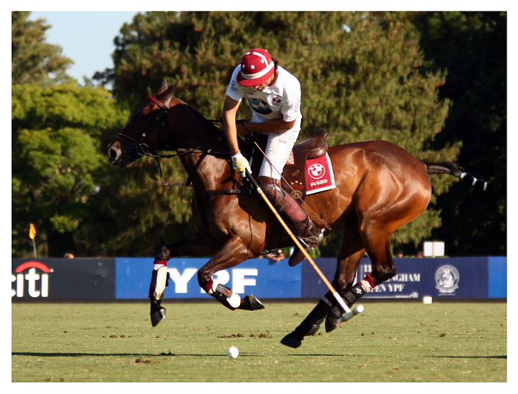 Hurlingham 2011. Ellerstina - La Aguada